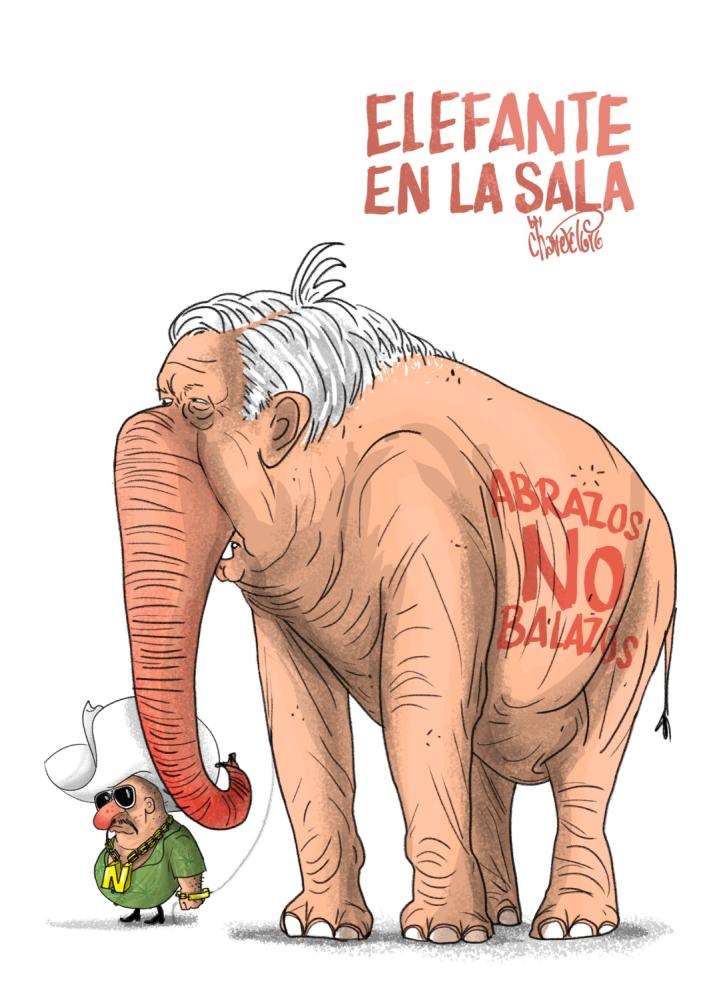 Elefante en la sala - Chavo del Toro