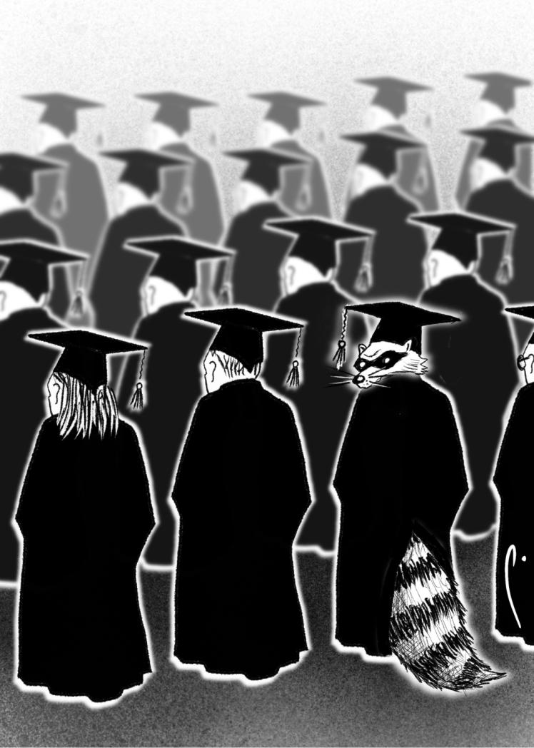 Elección judicial - Perujo