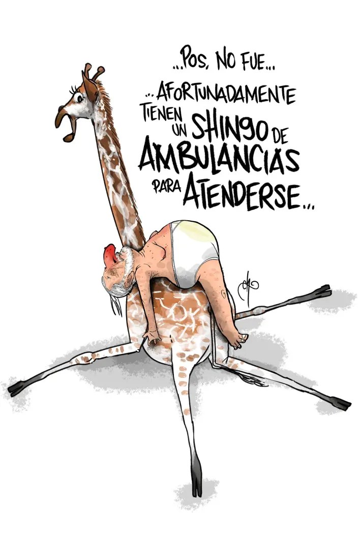 Shihuahua - Chavo del Toro